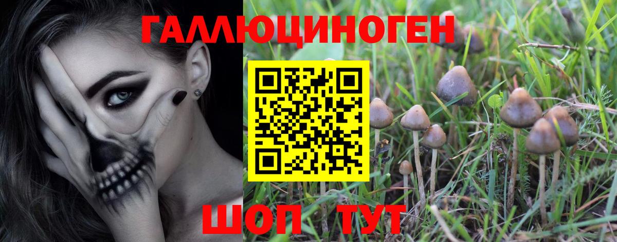 Каменск-Шахтинский  Псилоцибиновые грибы мухоморы  Вход с VPN 